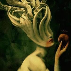 Meet your Posher, Roy